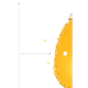 小光